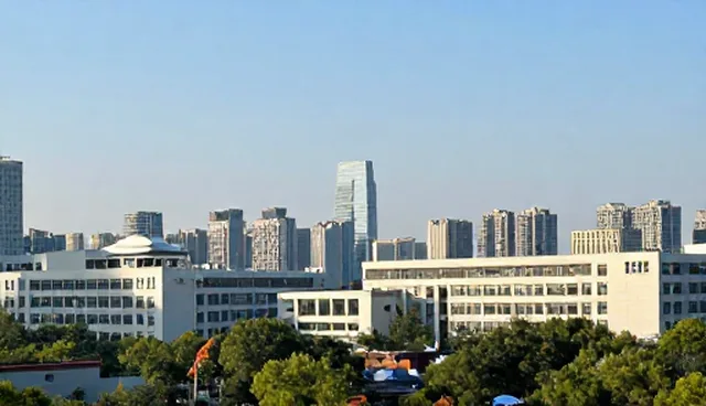 技术支持选型中的地区适配问题与应对建议
